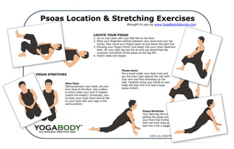 Psoas Location And Stretch Pose Chart Hipflexor Psoas Stretch