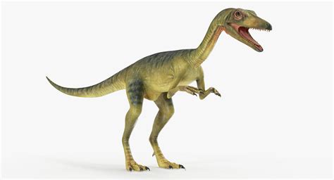 model compsognathus dinosaur rigged animate turbosquid