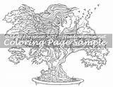 Bonsai Saimain Meadowhaven sketch template