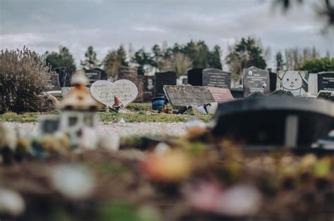 herinrichting kindergrafveld begraafplaats duinrust van der bent uitvaart