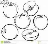 Apples Mele Fruits sketch template
