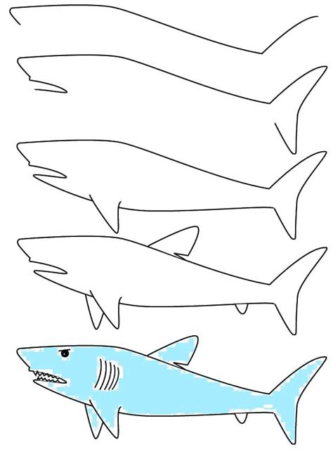 shark drawing easy  paintingvalleycom explore collection  shark