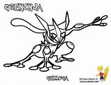 Pokemon Coloring Pages Froakie Xy Kalos Frogadier Greninja Fennekin Colouring Mega Getcolorings Bubakids Sheets Color Through Yescoloring Thousand Pag Cartoon sketch template