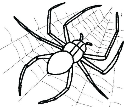 halloween spider coloring pages  getcoloringscom