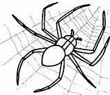 Coloring Pages Spider Halloween Printable Print Color Spiders Getcolorings Getdrawings Colorings sketch template
