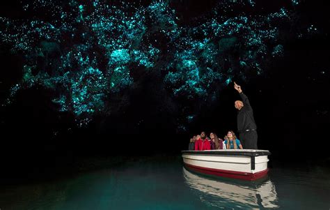 te anau glowworm caves lt leisure tours  zealand day tours travel attractions  activities