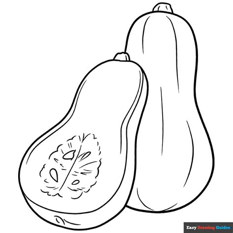squash coloring page easy drawing guides