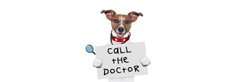 listen  dr dog drchetcom