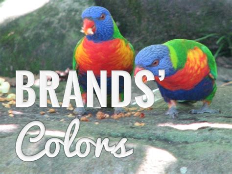 colors  brands