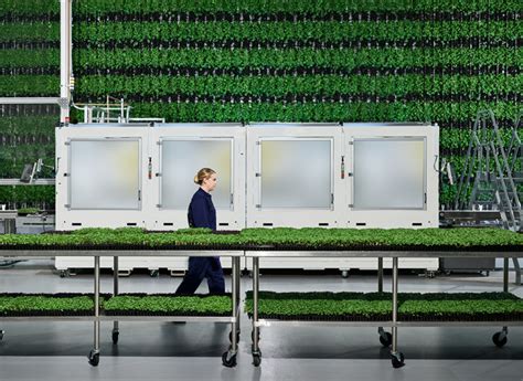 vertical farms run by ai to solve the land crisis ie