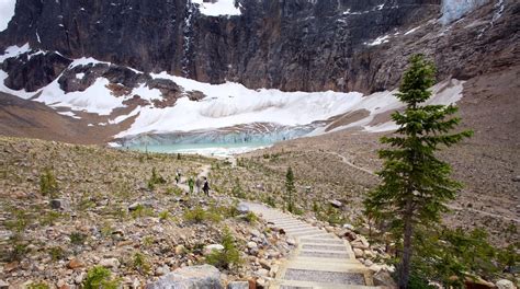 mount edith cavell tours book  expedia