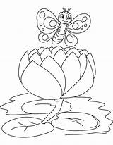 Lily Coloring Pad Water Pages Butterfly Big Kids Printable Getdrawings Getcolorings Color Lilies Drawing Colorings sketch template
