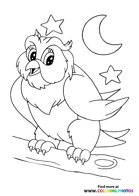 owl   branch coloring pages  kids