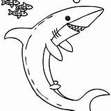 Shark Coloring Fish Illustration Cartoon Little Blacktip Reef Drawing Sharks sketch template