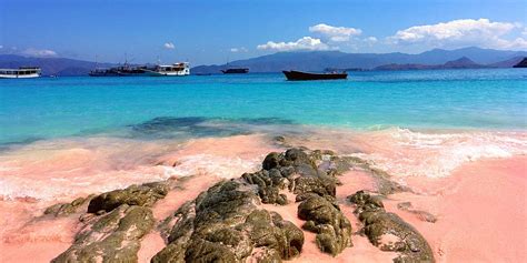 Best Pink Sand Beaches 10 Most Breathtaking Pink Sand