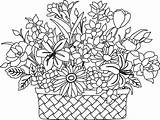 Coloring Flower Basket Pages Flowers Drawing Colouring Printable Bouquet Print Color Quality High Clipart Phong Sketch Getdrawings Pdf Getcolorings Patterns sketch template