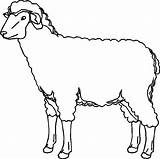 Pecore Animali Pecora Disegno Mouton Oveja Colorear Presepe Gregge Stampare Schafe Disegnidacoloraregratis Megghy Sull Cane Migliori Cani Ausmalen Capra sketch template