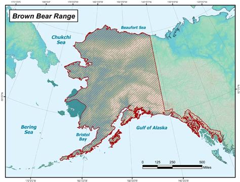polar bears habitat map