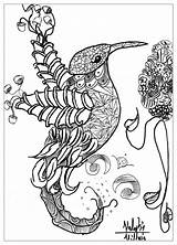 Coloring Pages Animal Animals Bird Adults Printable Complex Abstract Detailed Adult Valentin Birds Print Mandala Kids Cat Popular Nature Comments sketch template