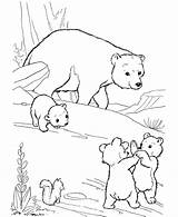 Coloring Polar Bear Pages Bears Printable Kids sketch template