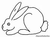 Kelinci Mewarnai Lucu Kartun Hewan Sketsa Mudah Diwarnai Berwarna Rabbits Mewarnaigambar Coloringme Warna Memberi sketch template