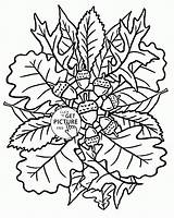 Coloring Pages Fall Wuppsy Leaves Autumn Kids Printable Leaf Mandala sketch template