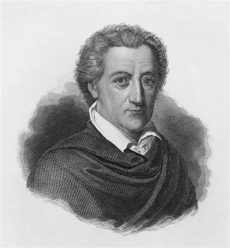 portrait  johann wolfgang von goethe pictures getty images