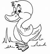 Coloring Ugly Duckling Pages Duck Printable Color Getcolorings Print Cute sketch template
