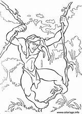 Tarzan Coloriage Colorir Disney Imprimer Ausmalbilder Kolorowanki Concernant Skgaleana Greatestcoloringbook Imprimir Druku sketch template