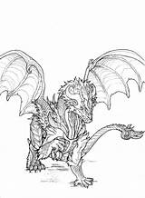 Dragon Wyvern Coloring Baby Template sketch template