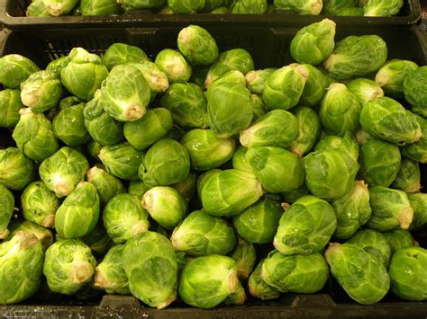 growing brussels sprouts  western australia agriculture  food