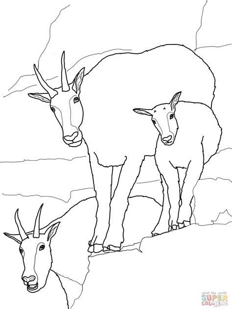 mountain goat coloring page animal coloring books sports coloring