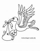 Storch Malvorlage Malvorlagen Ooievaar Ausmalbilder Geburt Ausmalbild Stork Ausdrucken sketch template