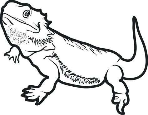 bearded dragon coloring page pages printable  dragon coloring page