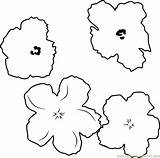 Coloring Warhol Andy Pages Flowers Coloringpages101 sketch template