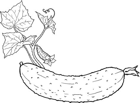 cucumber coloring page  printable coloring pages  kids