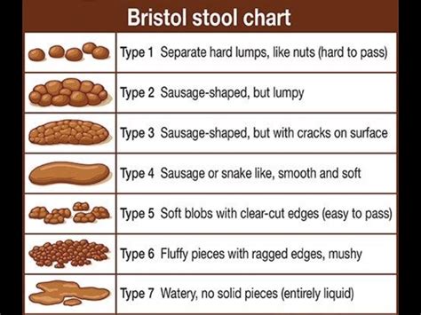 bristol stool chart healthy poop advanced healing images   finder
