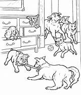 Coloring Pages Hotel Dog Dogs Newfoundland Playtime Color Puppy Print Getdrawings Drawing Printable Getcolorings Hellokids Online sketch template