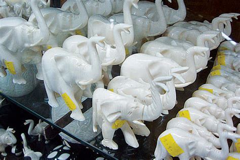 chinese consumer demand  ivory remains   years  ban
