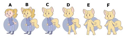 scale of furry cat furry scale know your meme