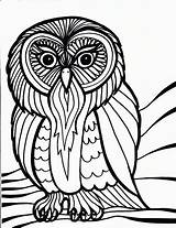 Coloring Pages Bird Owl Printable Birds Owls Kids Book Print Barn Printables Hard Colouring House Cliparts School Toucam Peacock Simple sketch template