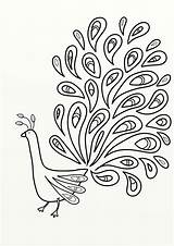 Peacock Feather Coloring Outline Pages Printable Drawing Bird Colouring Kids Template Print Birds Patterns Adult Embroidery Line Drawings Easy Painting sketch template
