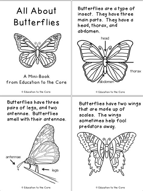 butterfly life cycle unit  close read   special freebie