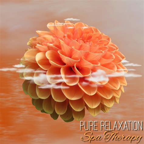 pure relaxation spa mp   musicrelaxcom