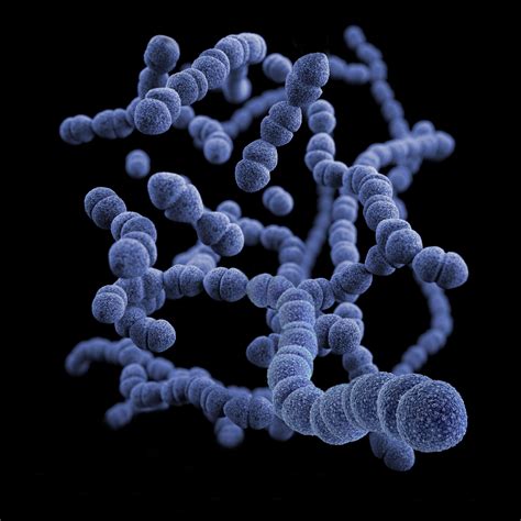 viren bakterien pilze und wir oder muss es nicht heissen sind wir