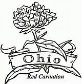 Ohio Coloring State Pages Brutus Buckeye Drawing Flower Carnation Buckeyes Football Michigan Bow Pennsylvania Majorette Color Line Printable Flag Msu sketch template