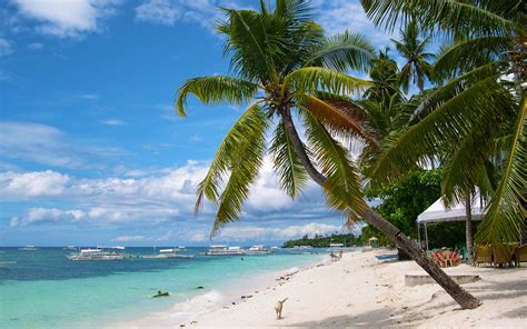 alona beach bohol philippines world beach guide