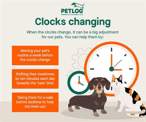 clocks changing petlog