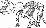 Coloring Skeleton Dinosaur Pages Bones Rex Drawing Printable Head Pirate Animal Bryant Kobe Skull Clipart Triceratops Getdrawings Getcolorings Tyrannosaurus Outline sketch template