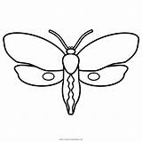 Polilla Moth sketch template